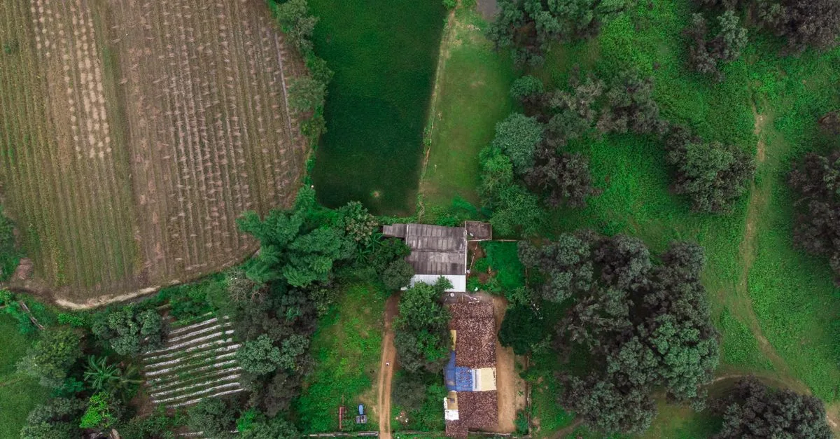 découvrez notre ferme écologique dédiée à l'agriculture durable, au respect de l'environnement et à la production de produits naturels de qualité.