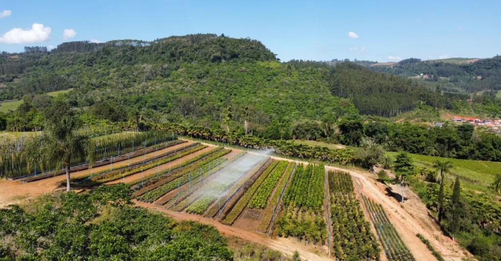découvrez notre ferme écologique, engagée dans des pratiques durables pour produire des aliments sains tout en respectant l'environnement.
