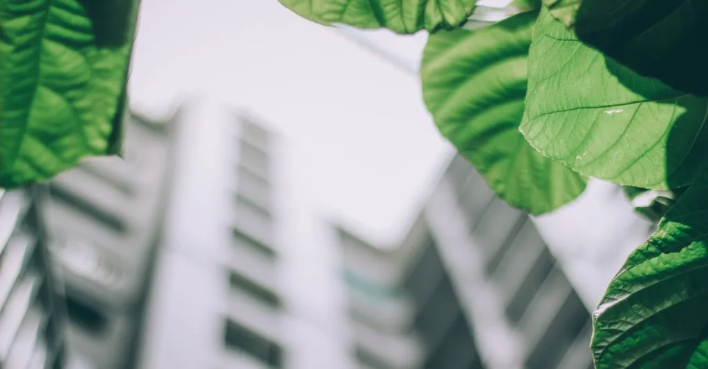 découvrez les réglementations environnementales essentielles pour protéger notre planète et garantir un développement durable.