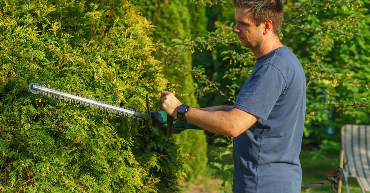 découvrez les meilleures techniques d'élagage pour entretenir vos arbres et arbustes, favoriser leur croissance et garantir leur santé.
